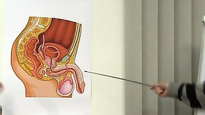 Video 1