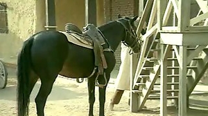 Video 1