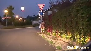 Video 1